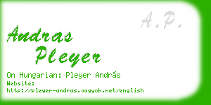 andras pleyer business card